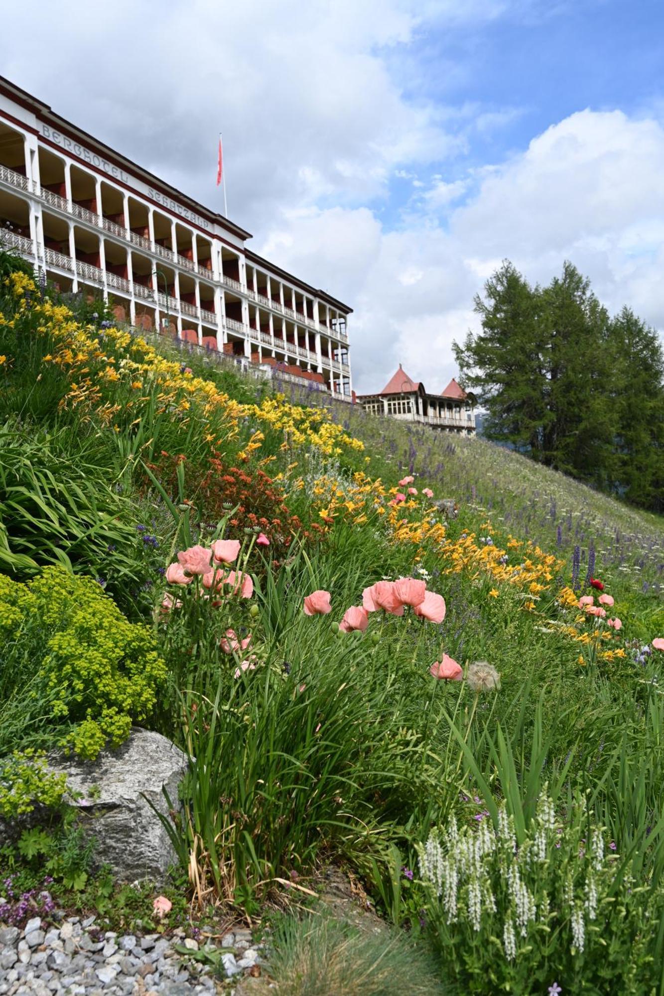 דאבוס Schatzalp Hotel מראה חיצוני תמונה