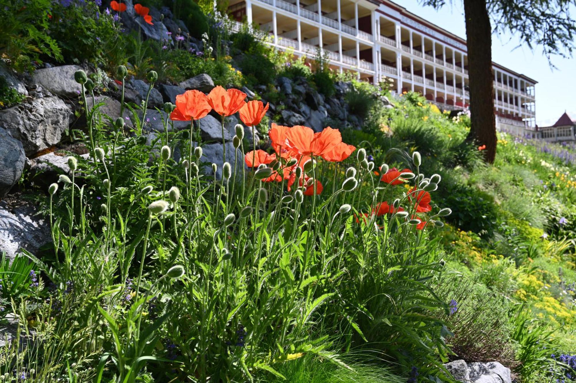 דאבוס Schatzalp Hotel מראה חיצוני תמונה